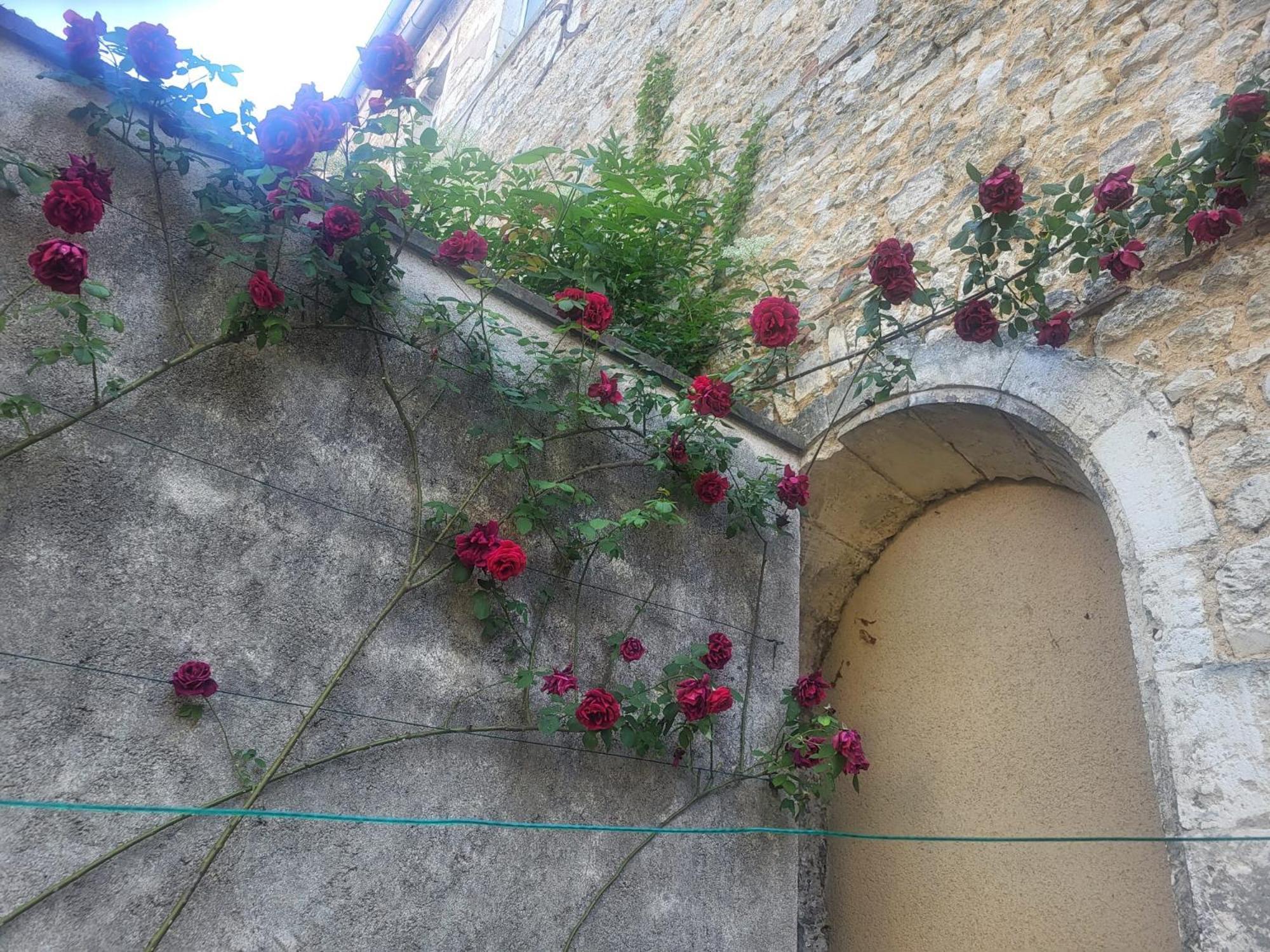 Appartement Au Puits De L'abbaye